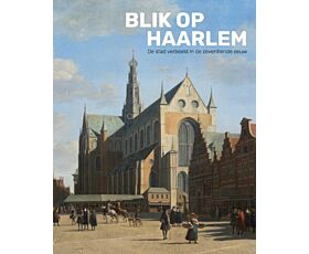 Blik op Haarlem